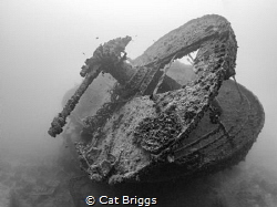 The Thistlegorm by Cat Briggs 